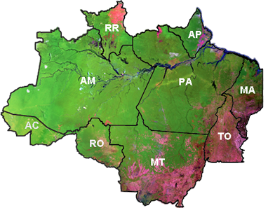 Imagem Mapa TerraClass 2014