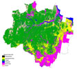Imagem Projeto PRODES do INPE estima 4.848 km2  de desmatamento na Amazônia em 2014