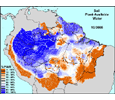 Imagem Pesquisa do INPE explica seca na Amazônia em 2005