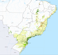 Imagem Divulgados novos dados do Atlas dos Remanescentes Florestais da Mata Atlântica 