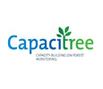 Imagem INPE e CAF lançam videoaulas sobre monitoramento de áreas florestais via satélite