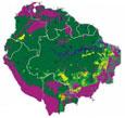 Imagem Projeto apresenta mapas inéditos da região amazônica