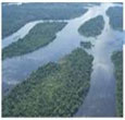 Imagem Seminário em Belém analisa o avanço do desmatamento na Amazônia