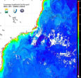 Imagem Monitoramento do INPE por satélite mostra a qualidade do ecossistema marinho na costa Sudeste