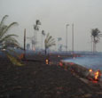 Imagem Projeto do INPE mapeia as áreas queimadas na Amazônia