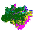 Imagem Dados detalhados do PRODES/INPE confirmam estimativa de desmatamento na Amazônia