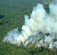 Imagem Depois de dois anos, aerossóis de queimadas aumentam na Amazônia